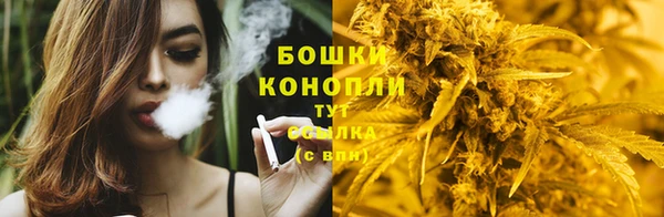 spice Алзамай