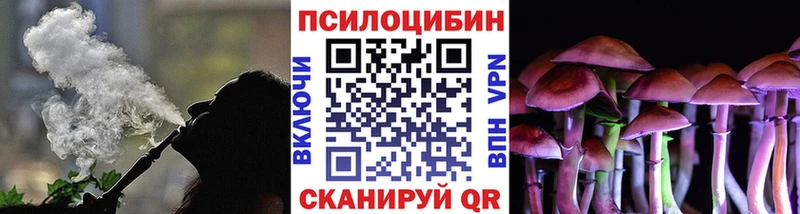 Галлюциногенные грибы MAGIC MUSHROOMS  Куровское 